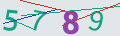 verifycode